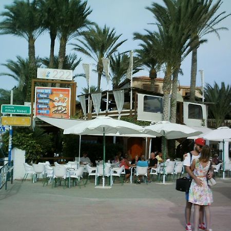 La Rosaleda Apartment Torrevieja Exterior photo